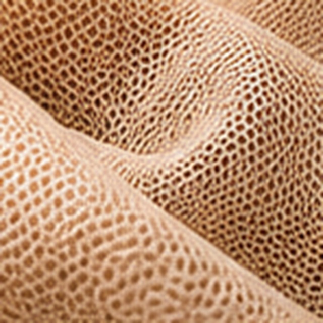 Mesh fabrics