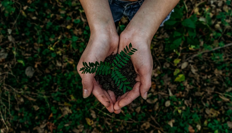 Sustainable fabrics