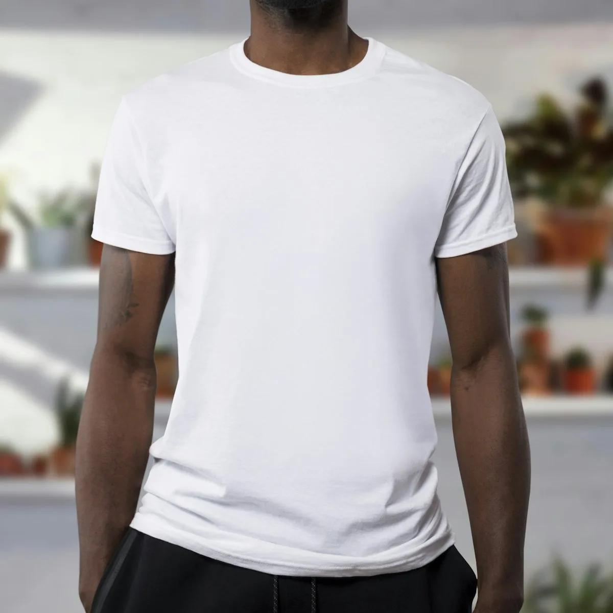 Cotton Poplin — image 2